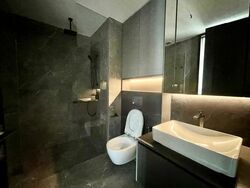 Irwell Hill Residences (D9), Apartment #460478801